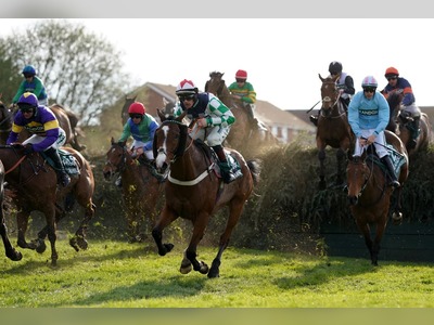 Horse put down after breaking neck during Grand National