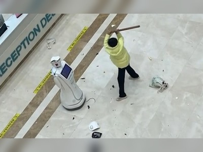 Watch: Woman Attacks Robot Receptionist At China Hospital In Huge Meltdown