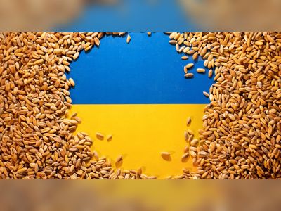 Deal reached in principle to resume Ukraine grain transit with 5 EU countries