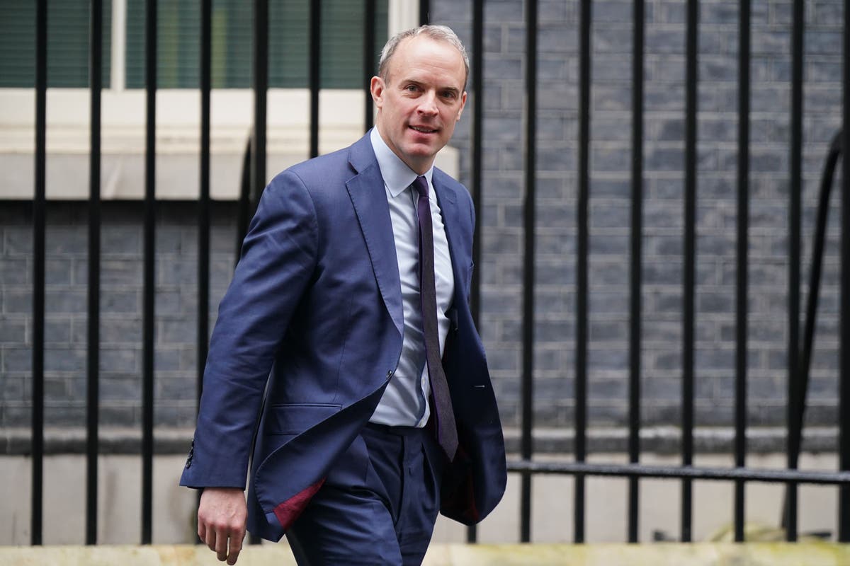 No evidence of ‘activists’ working against Raab, says former mandarin