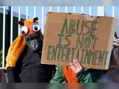 ITV blasted for 'disgraceful' coverage of Grand National after horses die