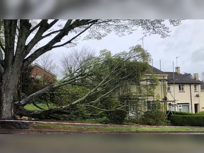Storm Noa: Power cuts and trees down in Devon and Cornwall