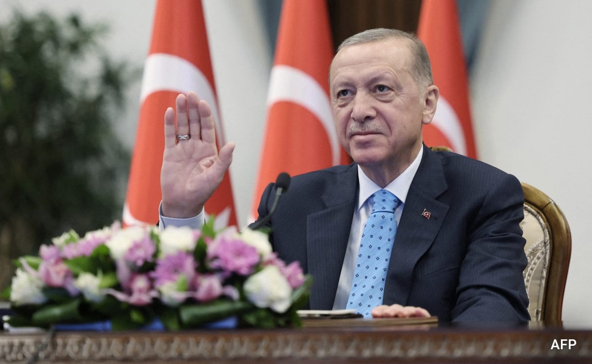 Recept Erdogan Defends Vladimir Putin Against Election Meddling Claims