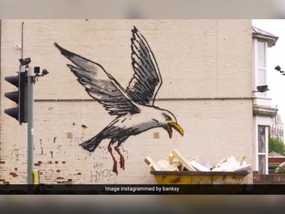 Banksy's Seagull Mural Wall Removed by Local Council