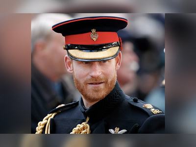 On Prince Harry's Police Protection, UK Government's Big Remark In Court