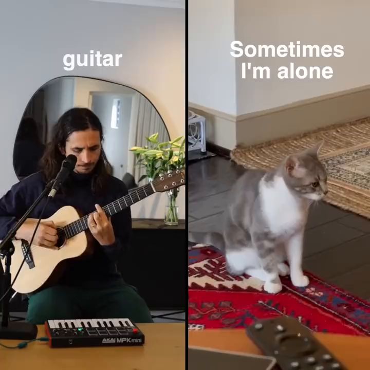 The Kiffness Transforms Cat Meows into Melancholic Musical Masterpiece