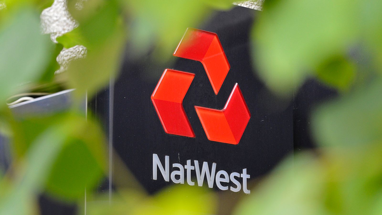NatWest CEO Dame Alison Rose Resigns Amid Political Interference and Data Privacy Concerns