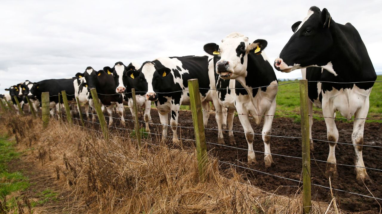 UK Farmers Concerned Over Cheaper, Lower Quality Imports Under New Trade Deal