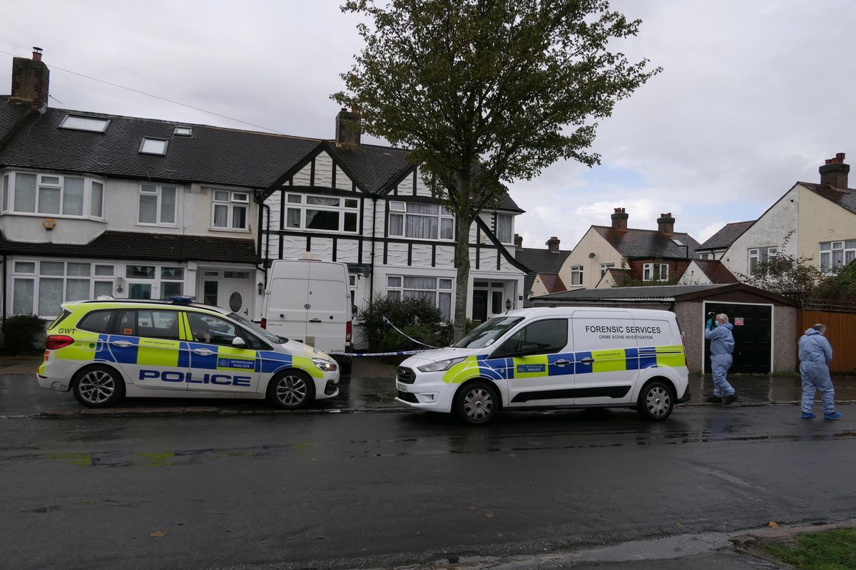 Teenage girl murdered in Croydon house named for first time - London Daily