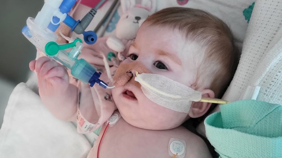 Indi Gregory Critically ill baby dies after life support turned off London Daily