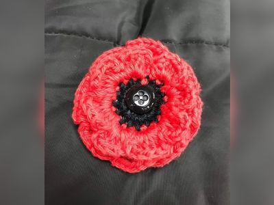 Thousands of knitted poppies in Macduff Remembrance display