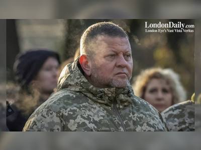 Volodymyr Zelenskiy fires top Ukraine army commander